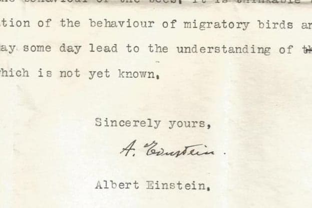 Einstein azt állította, hogy az állatoknak szuper érzékszerveik vannak