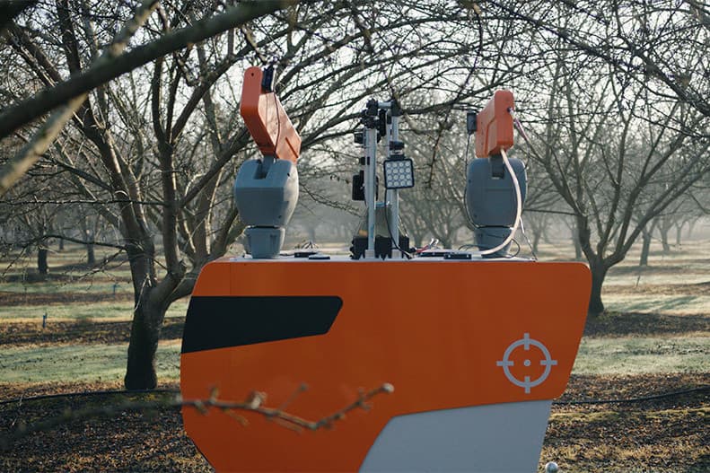 Lőfegyverekkel szedi le áldozatait a fákról az év mezőgazdasági robotja