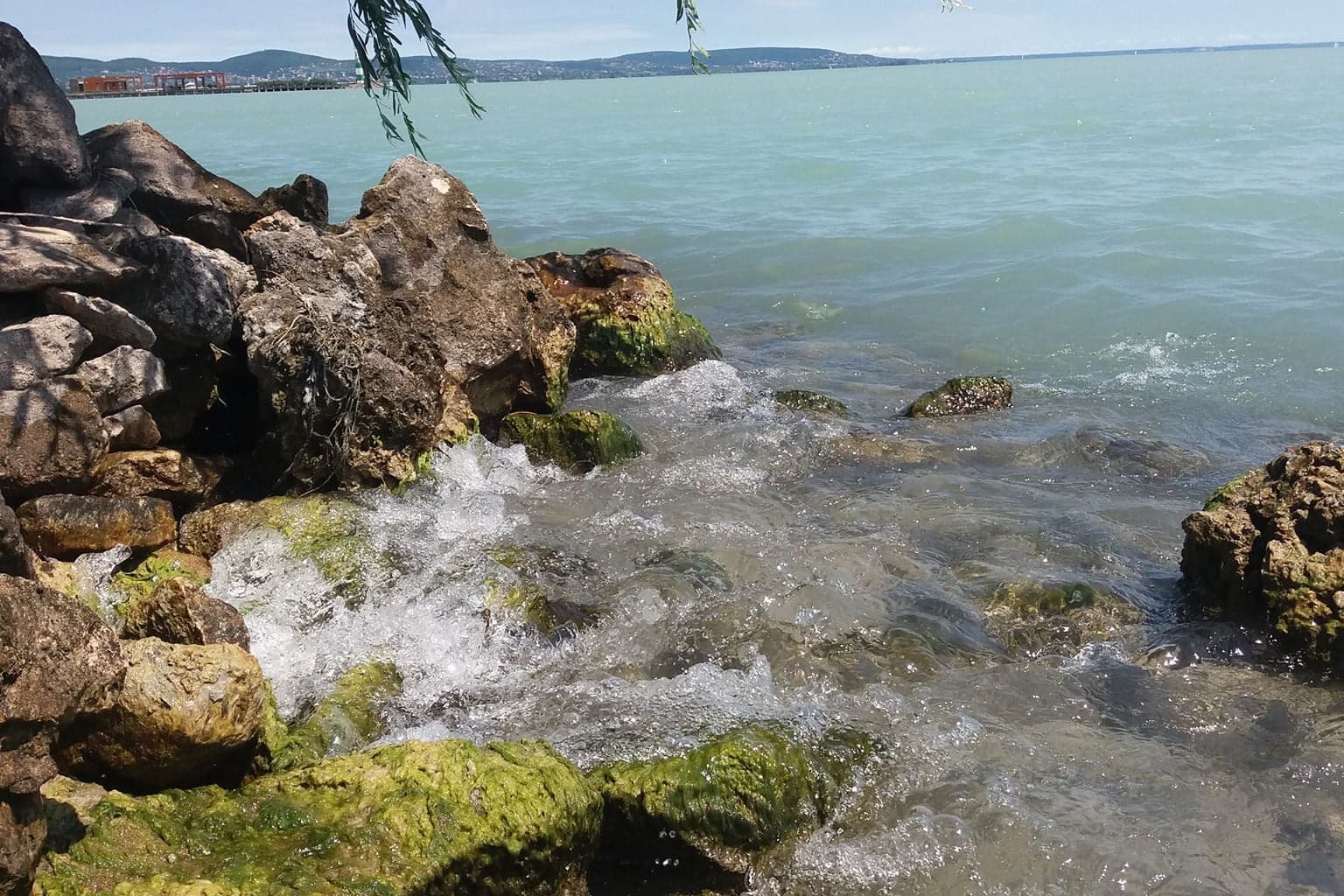 Drágulhatnak a strandszezon favorit ennivalói