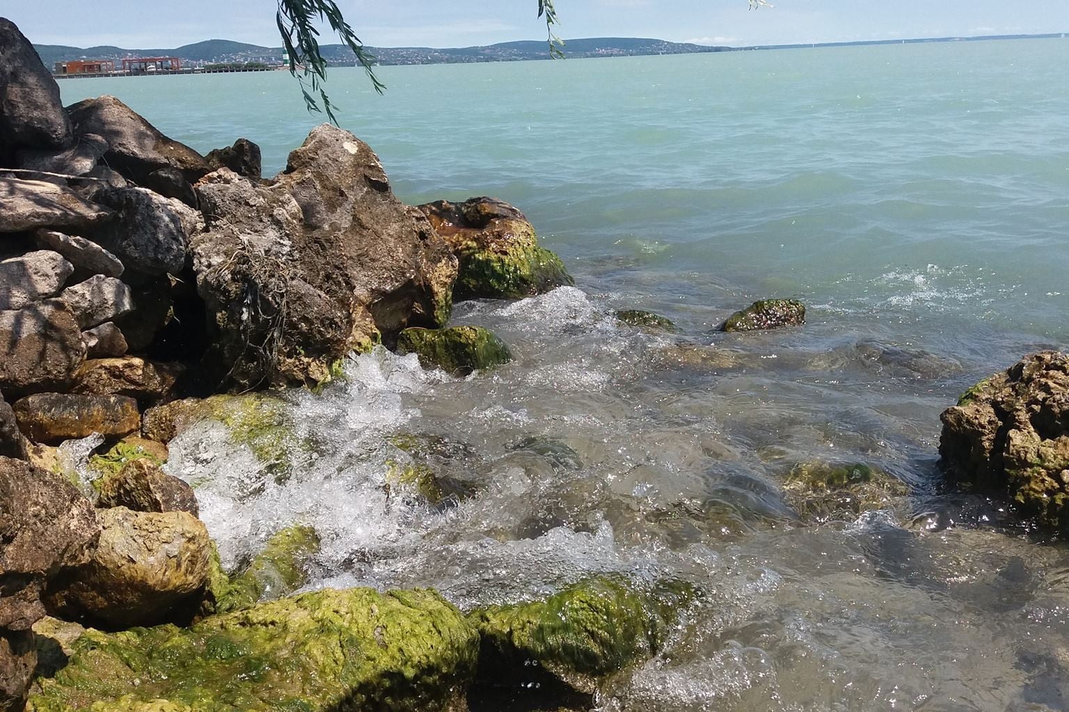 Drágulhatnak a strandszezon favorit ennivalói
