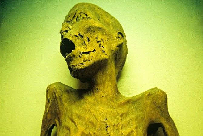 Sikító múmiákat találtak egy tömegsírban, szörnyű igazságot rejtenek a hátborzongató maradványok