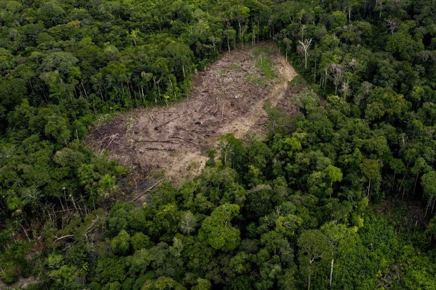 Új tervet hirdetett az amazóniai illegális erdőirtások felszámolására a brazil elnök