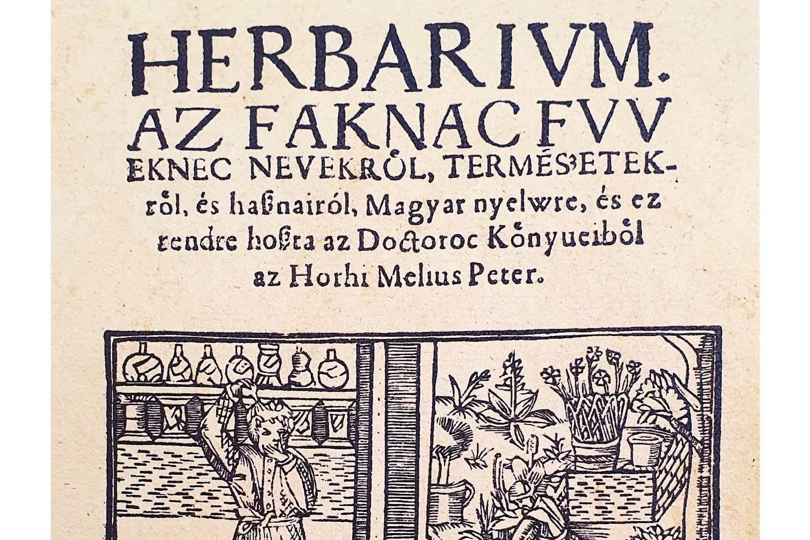 Mennyit érhet az első magyar természettudományos mű?