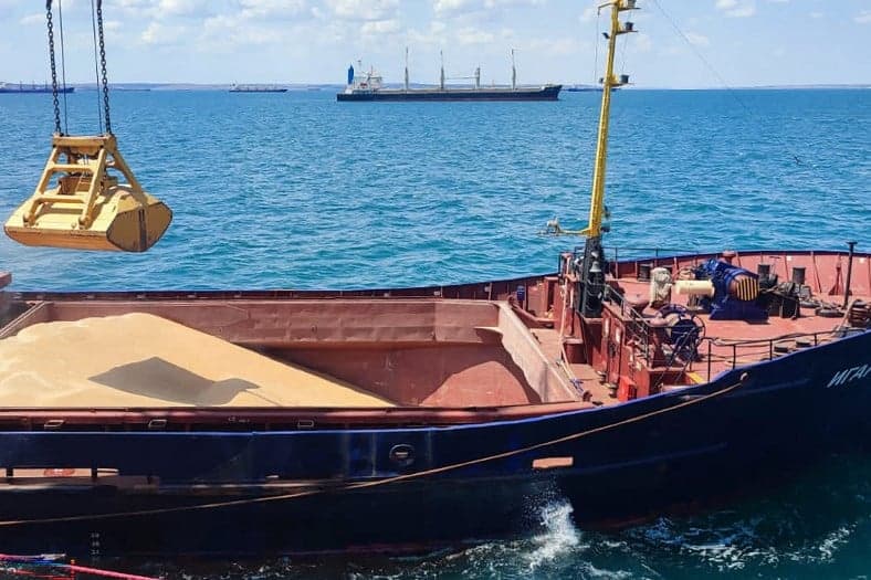 Az Egyesült Államok szerint a fekete-tengeri gabonaszállításnak nincs igazi alternatívája