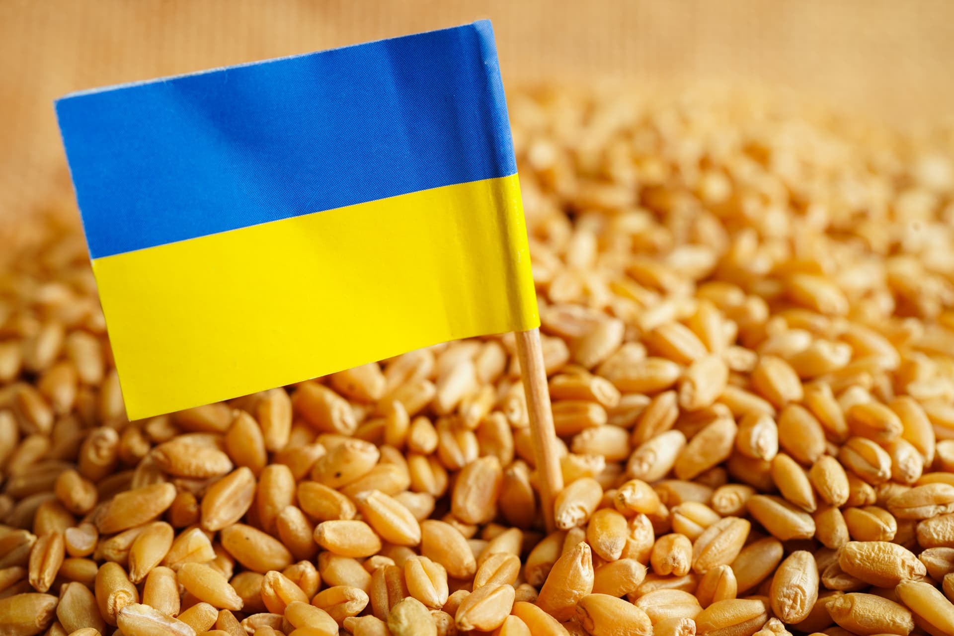 Reuters: Az Európai Bizottságnak nincs pénze az ukrán gabonaexport támogatására