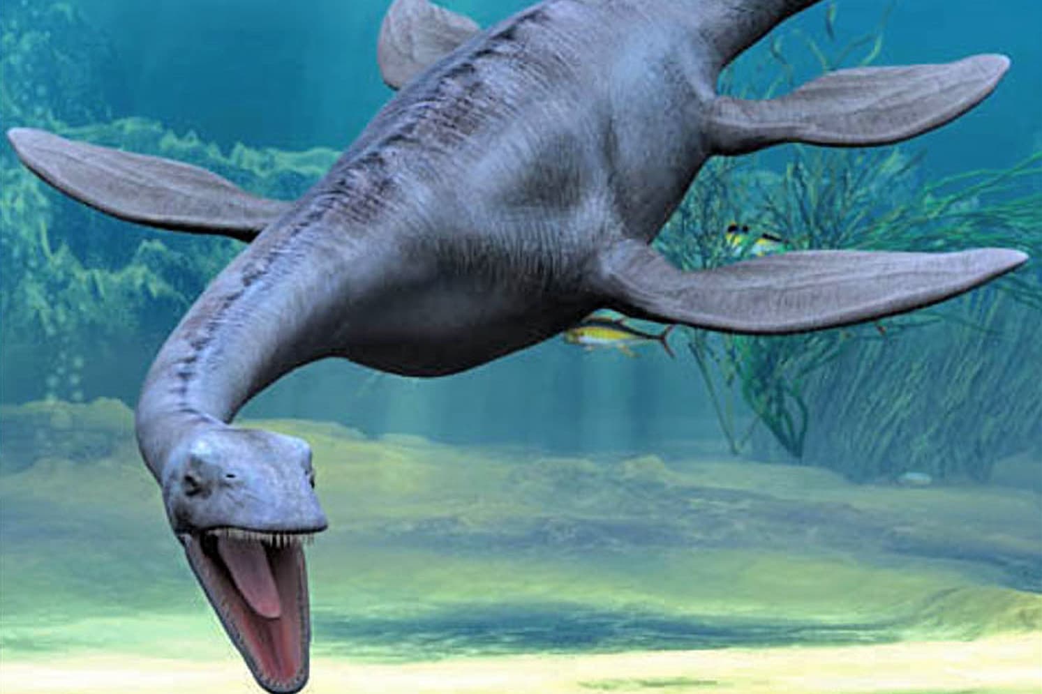 Új fordulat a Loch Ness-i szörny ügyében?