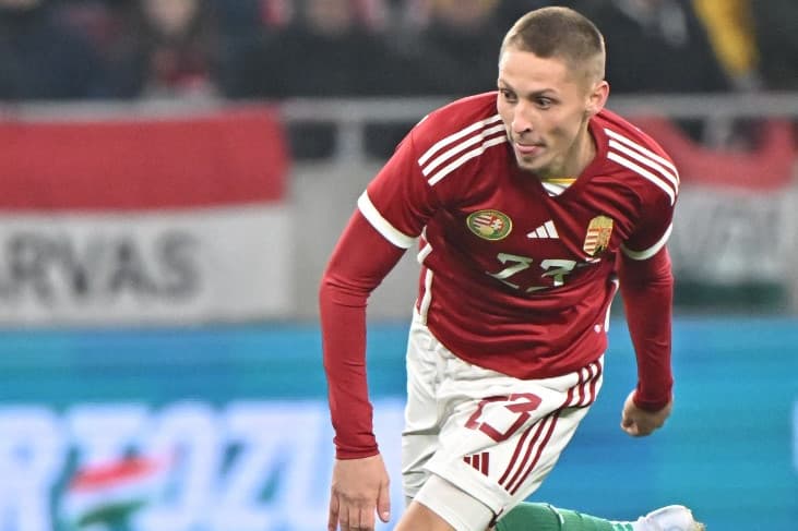 A Hertha leigazolta Dárdai Palkót