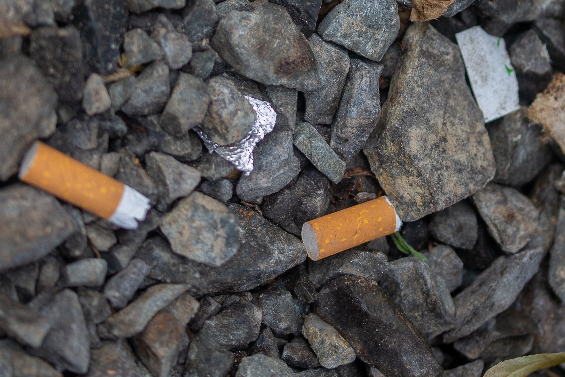 Megmutatták, mi történik a cigarettával a földben + VIDEÓ