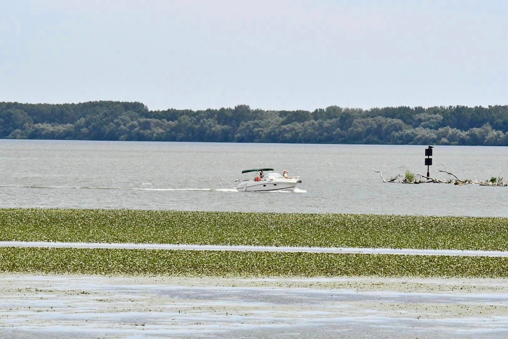 Jövő szombaton rendezik a Tisza-tó átevezést és átúszást