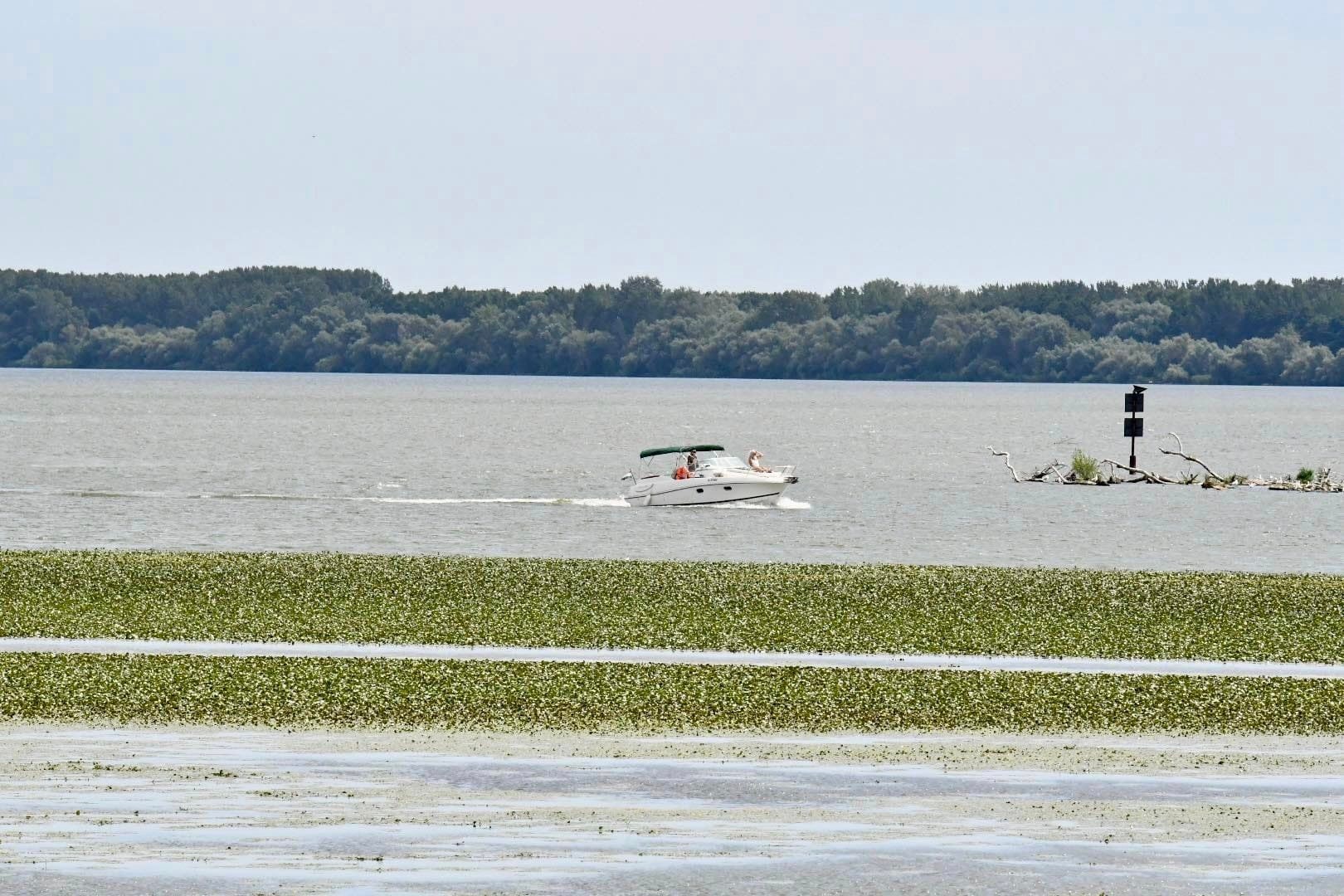 Jövő szombaton rendezik a Tisza-tó átevezést és átúszást