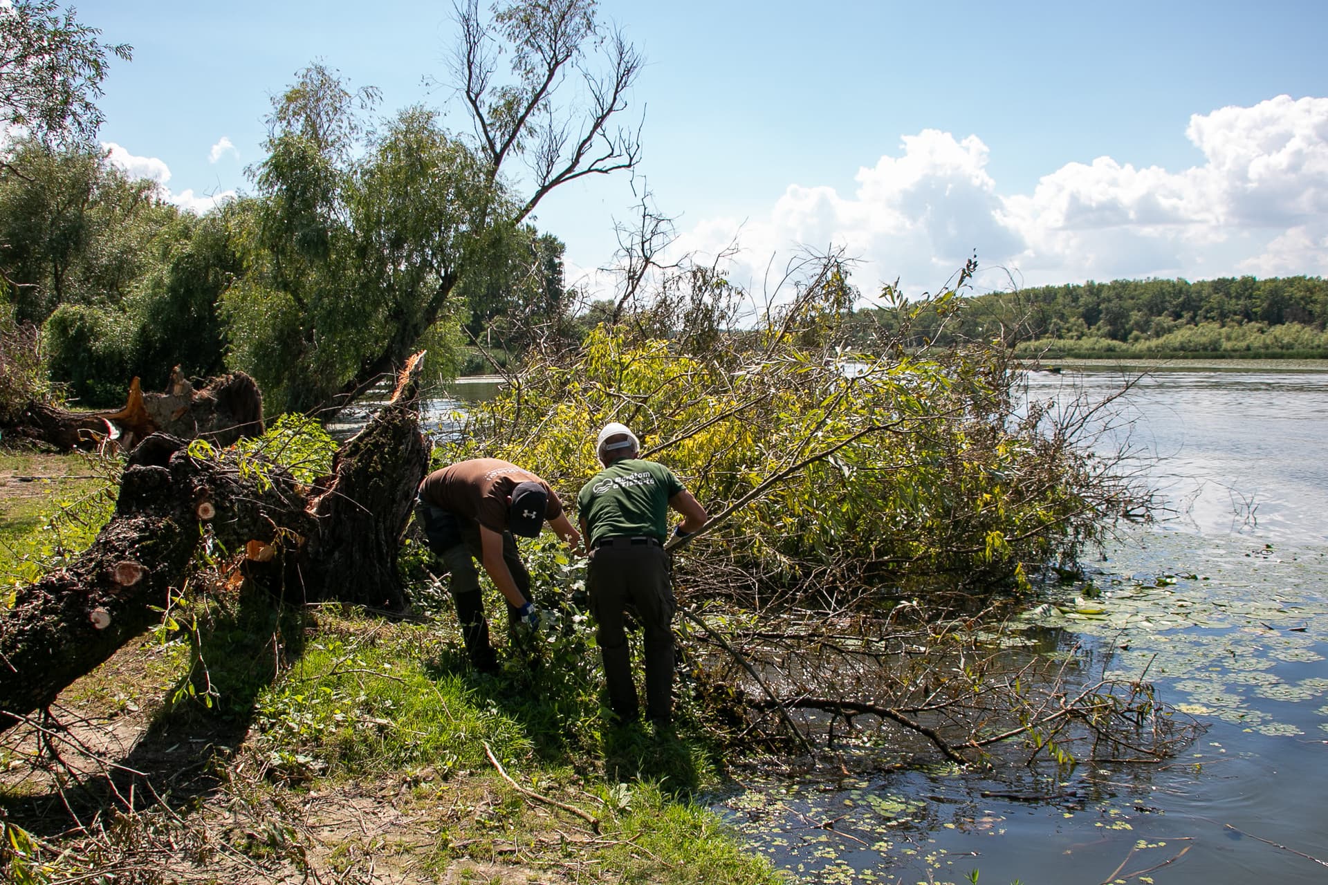 Letarolta a vihar a parti horgászhelyeket a Tisza-tónál + FOTÓK
