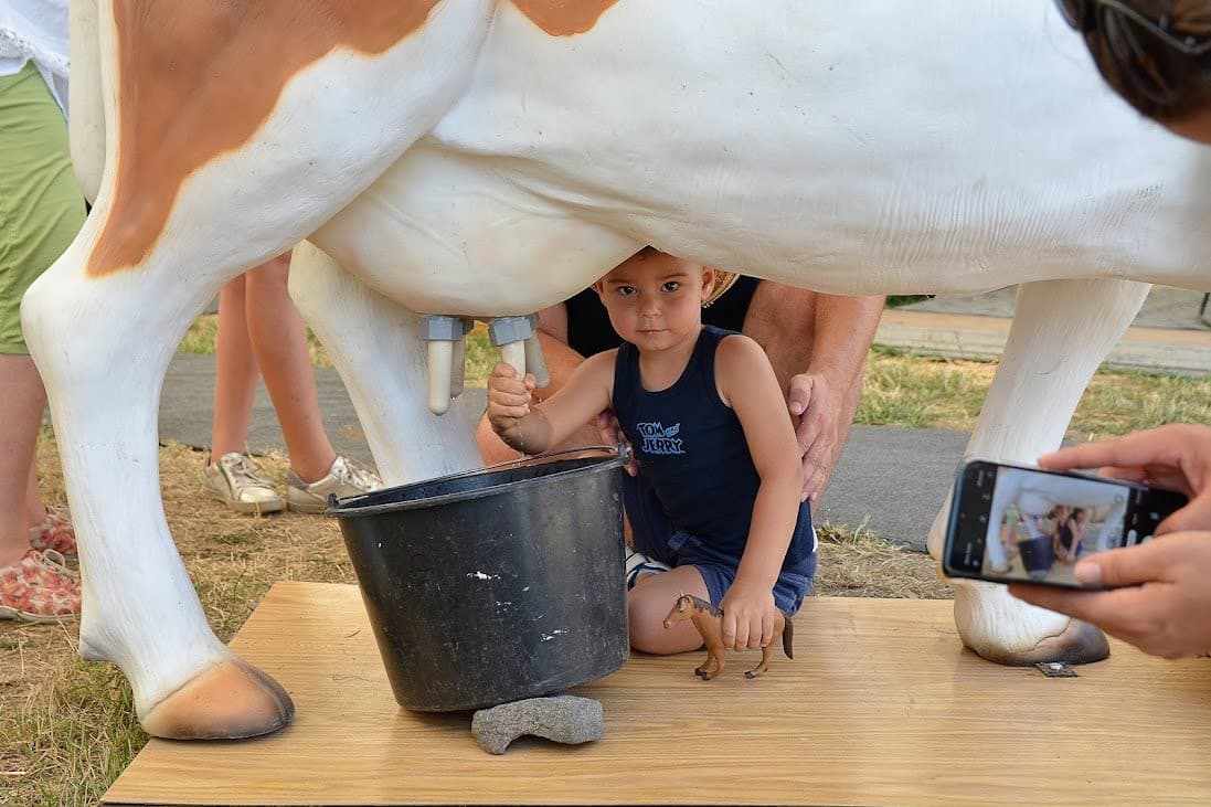 Több mint harmincezren keresték fel az idei Farmer Expót