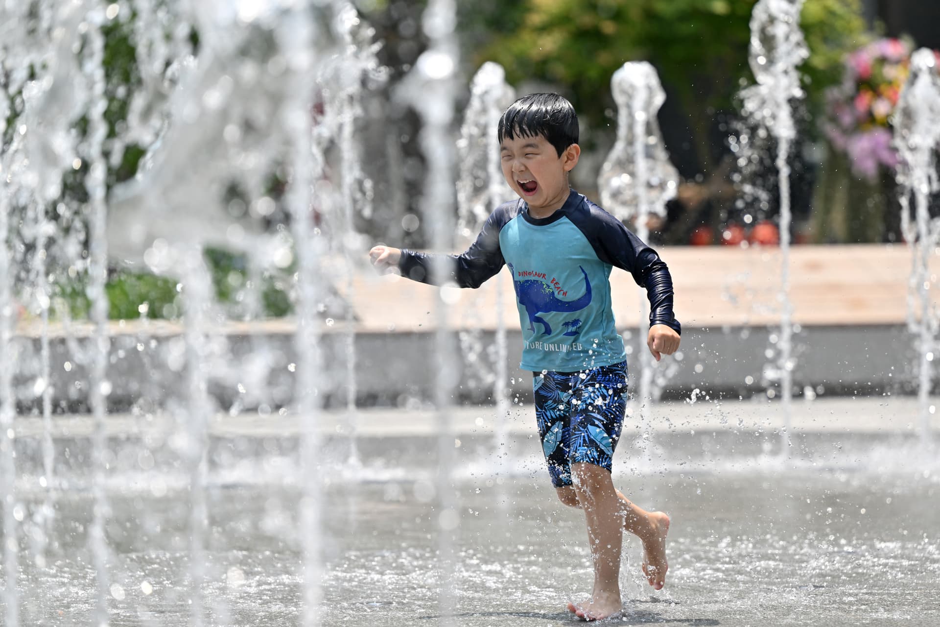 A legmagasabb fokú hőségriasztás lépett életbe Dél-Koreában