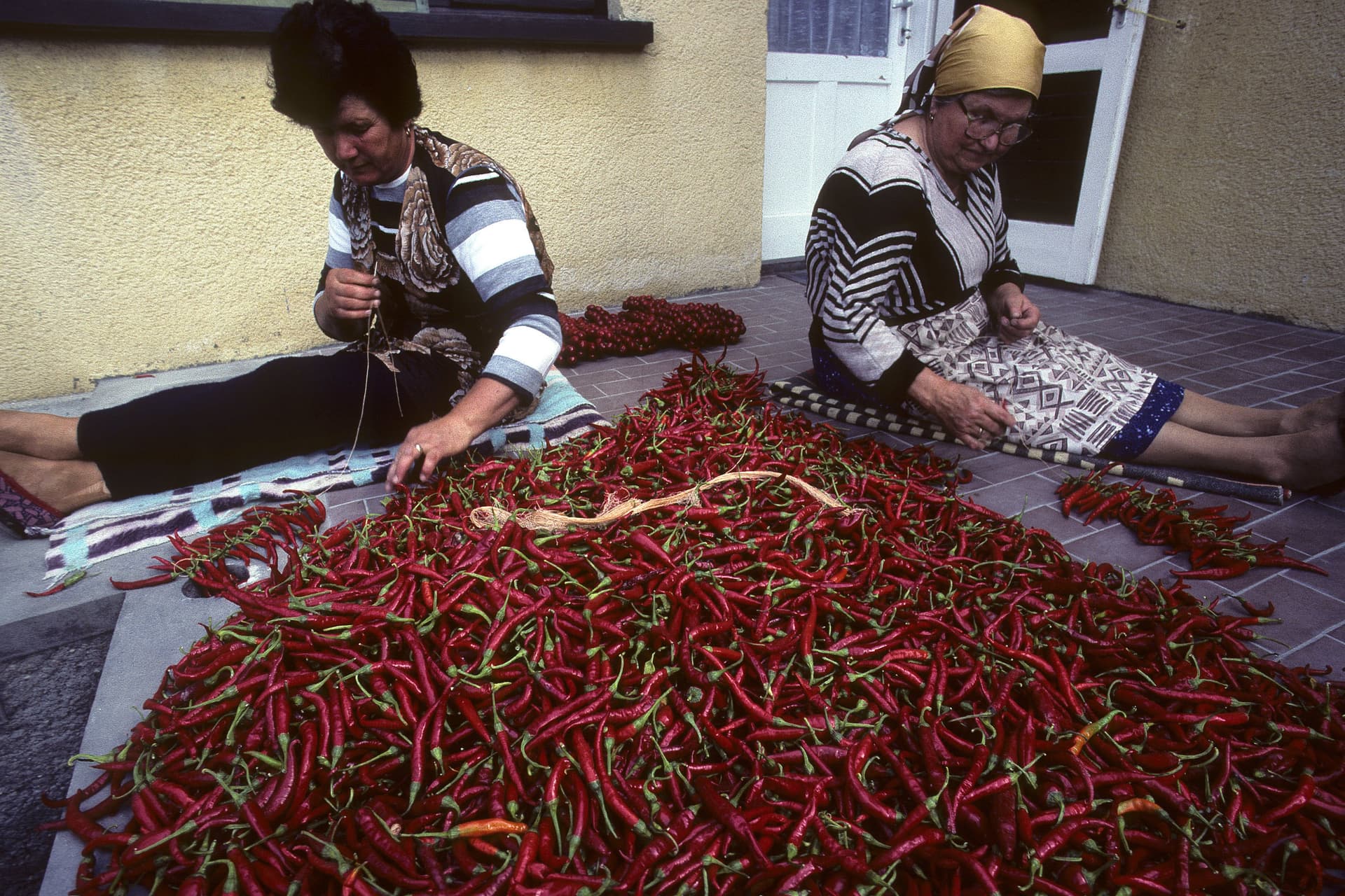 Miből készül a fűszerpaprika?