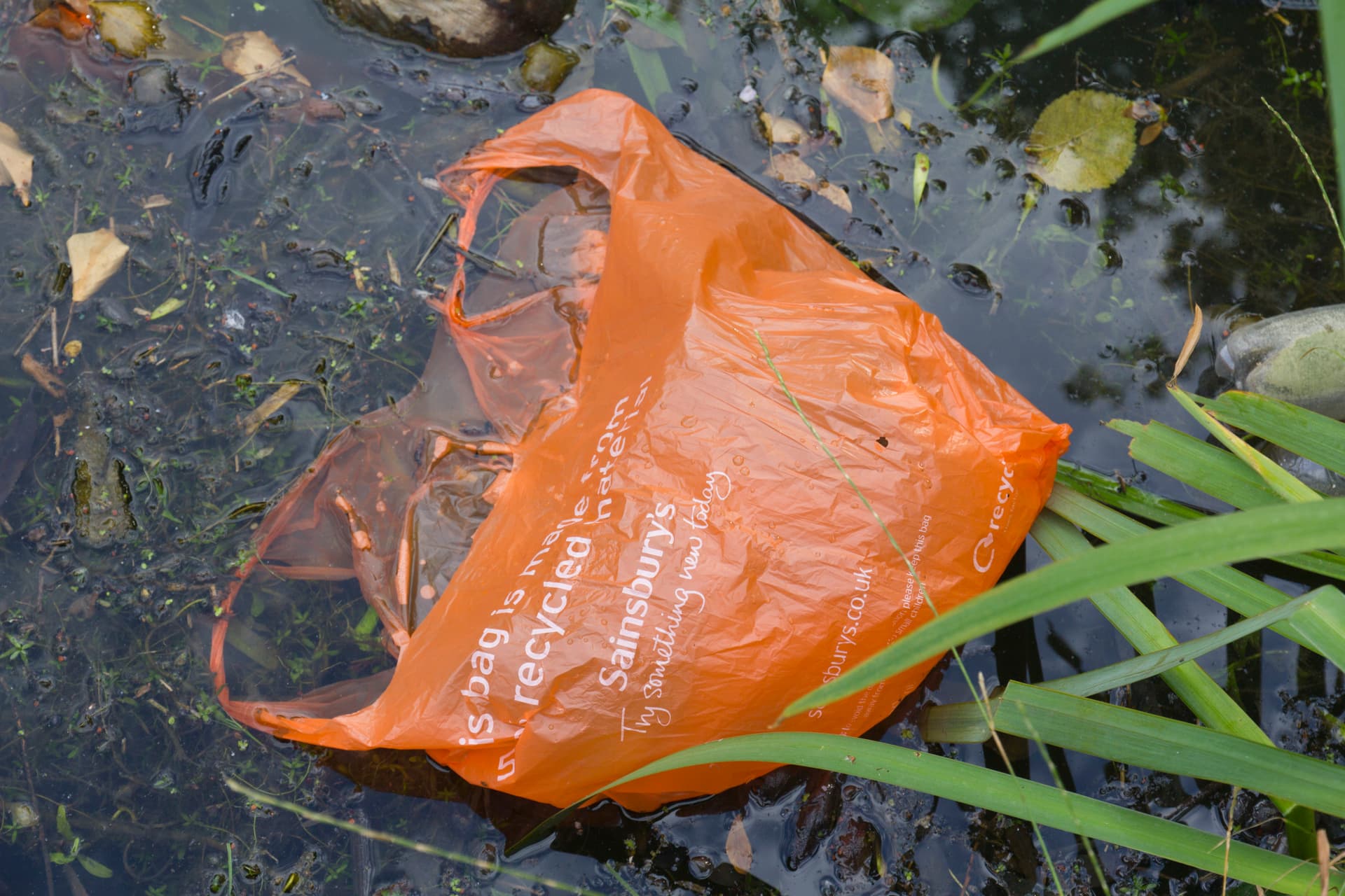 A lebomló zacskók valójában károsabbak, mint a műanyag változatok