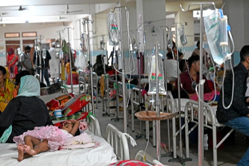 A dengue-láz átterjedhet az Egyesült Államok és Európa déli részeire
