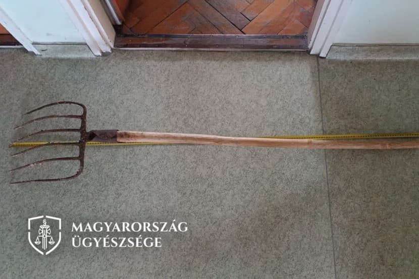 Kirúgták, bosszúból megvasvillázta főnökét