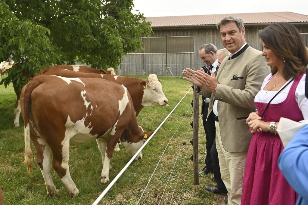 Melyek a leginkább gabona- és tejtermelő régiók az EU-ban?