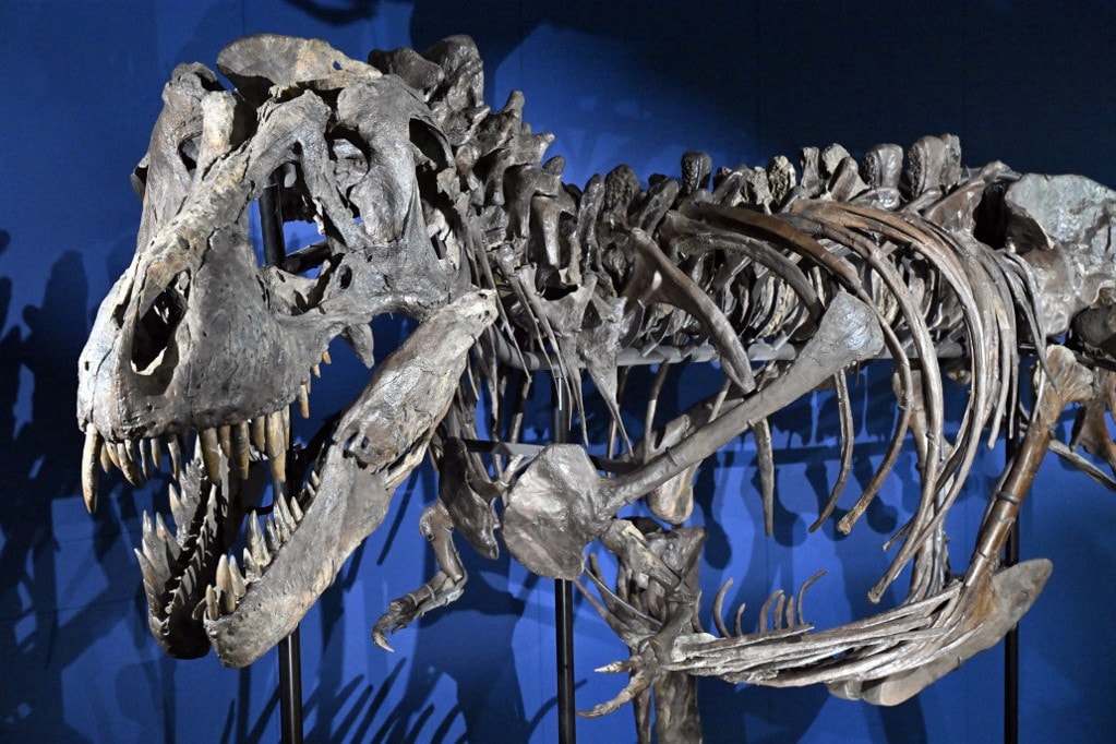 Döbbenetes felfedezést tettek az egyik dinoszaurusz csontjaiból