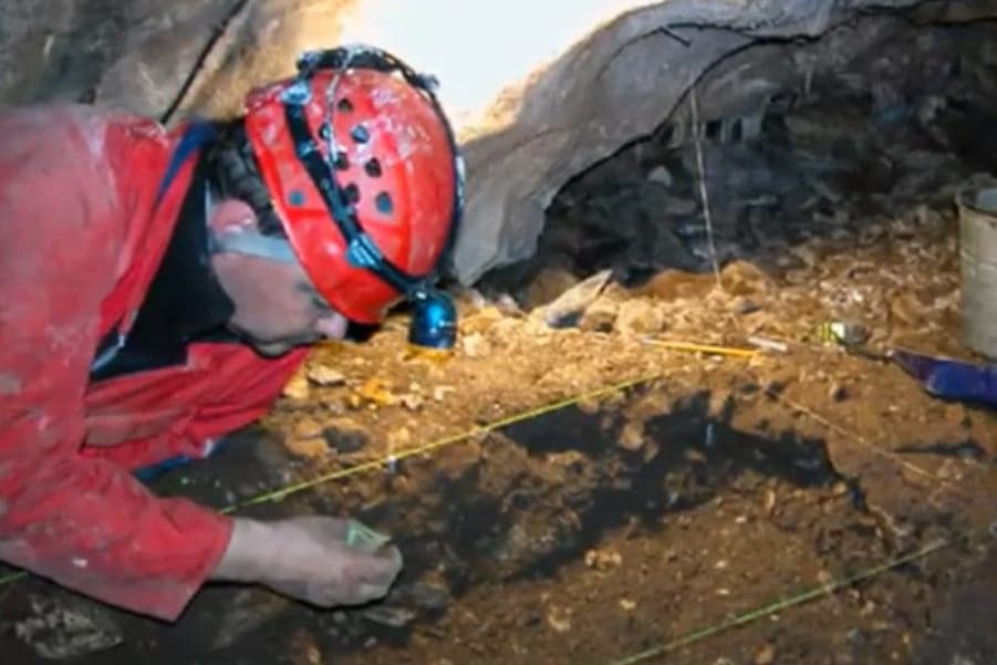 Barbár fegyvereket találtak egy lengyel erdőben