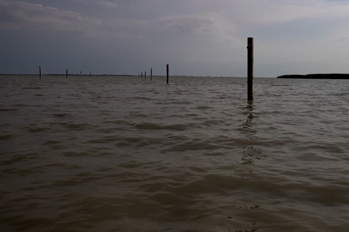 Bővítik a Fertő-tó Nemzeti Parkot
