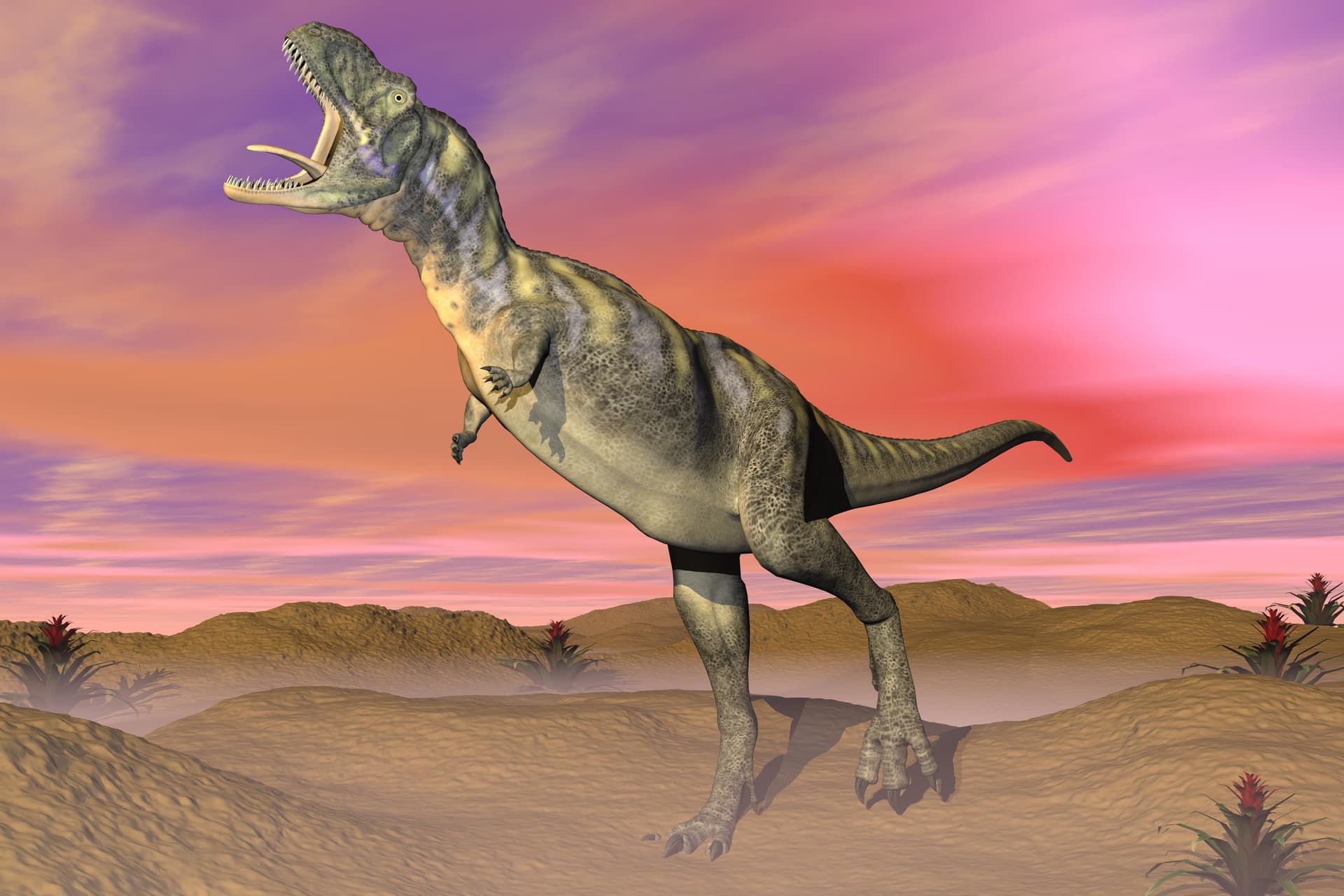 Már a dinoszauruszoknak is volt ízületi gyulladása 90 millió évvel ezelőtt