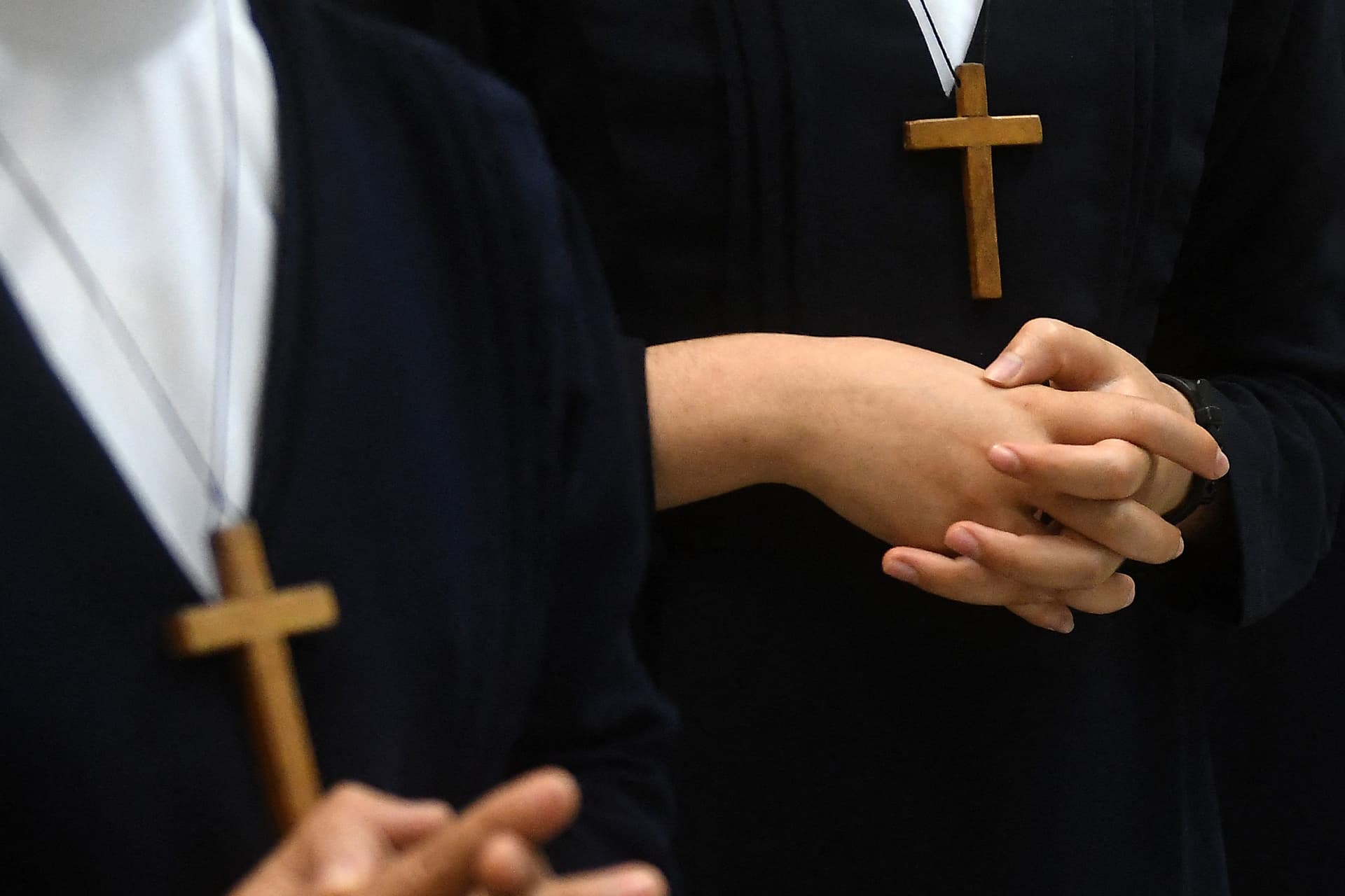 Álapácákat vettek őrizetbe Costa Ricában