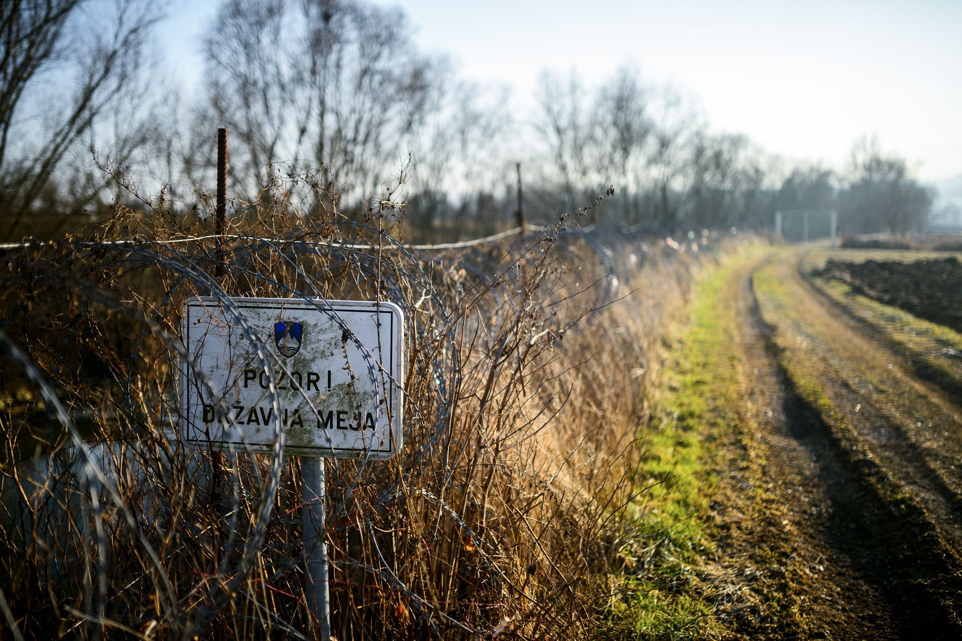 A szlovén baloldali kormány meghívót küldött az illegális migránsoknak