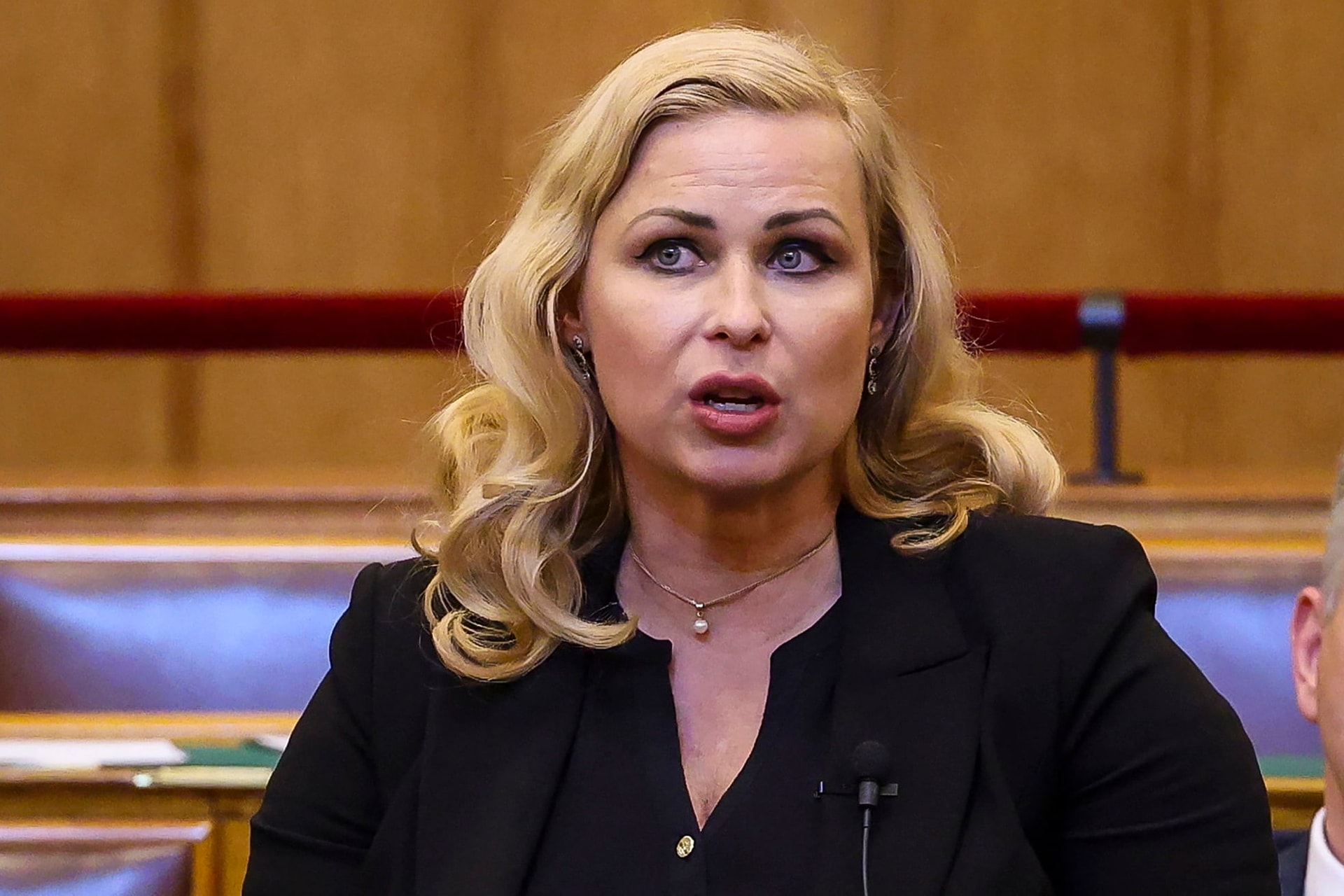 A KDNP a béke pártján áll