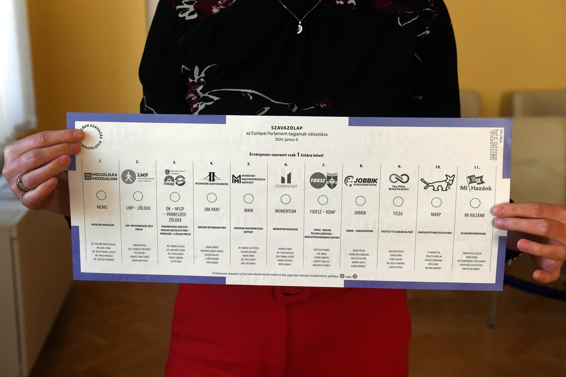 Eddig csak a Magyar Kétfarkú Kutya Párt bízott meg tagot a testületbe
