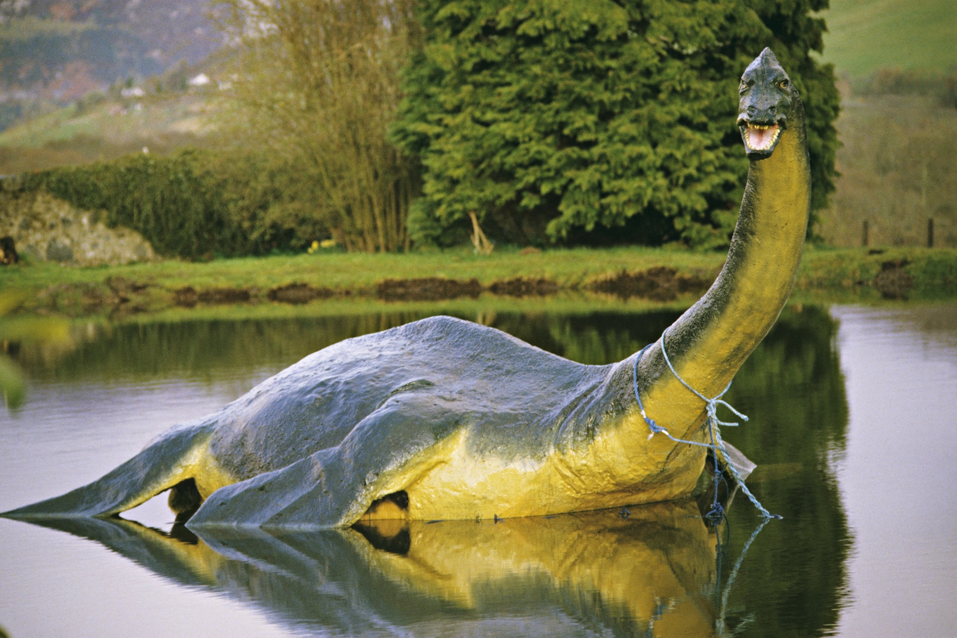 Bizonyíték, hogy a Loch Ness-i szörny létezik?