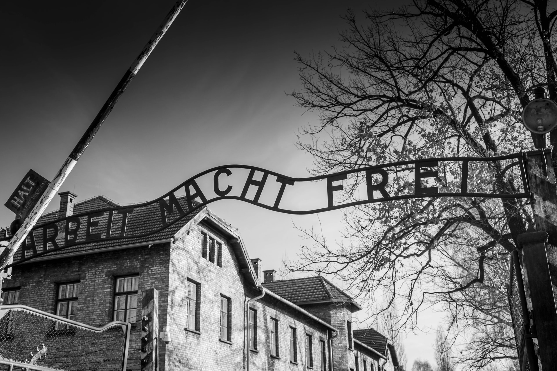 Tényleg volt Auschwitzban tetováló?