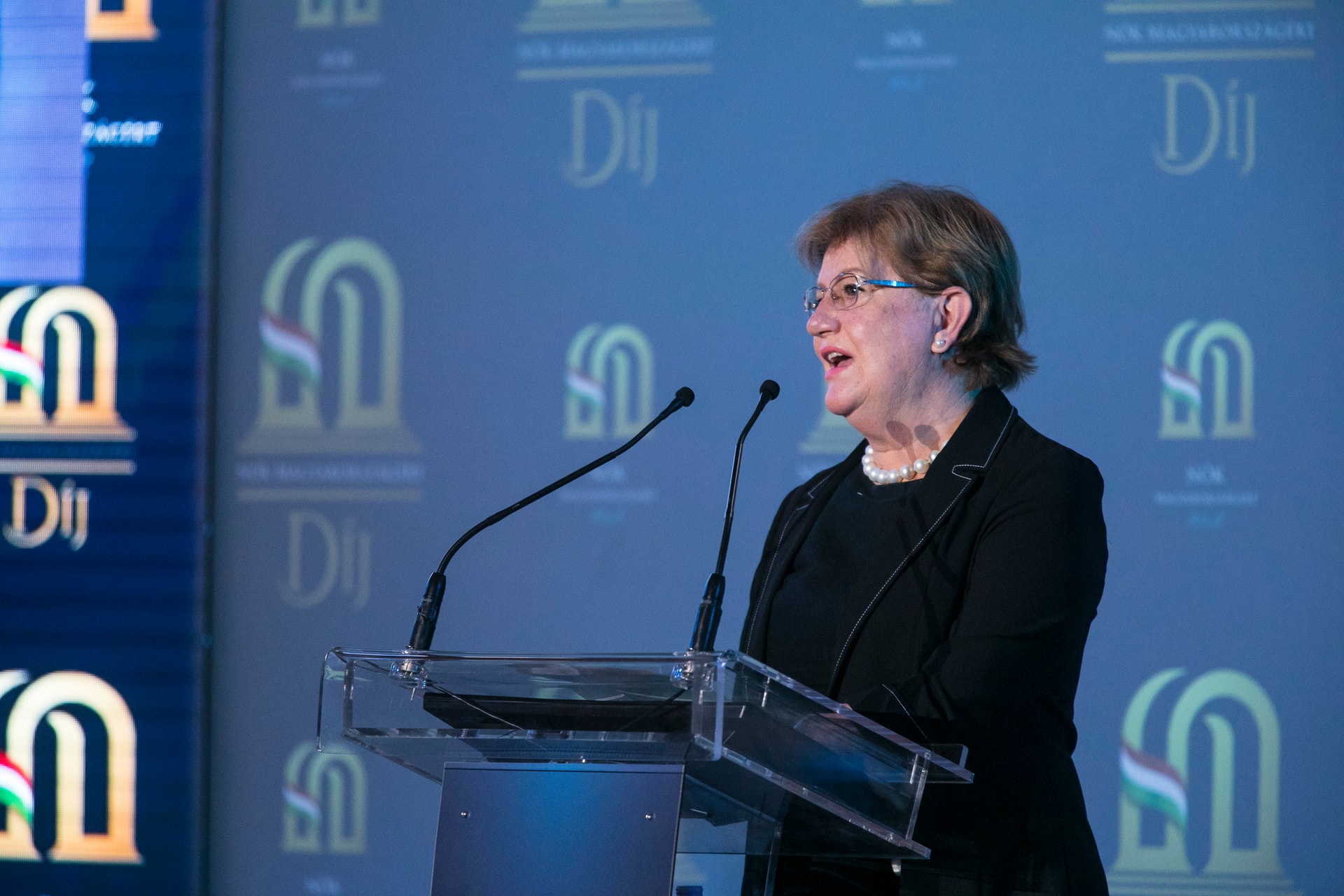 Szili Katalin: Az Európai Uniónak „fel kell vállalnia” a nemzeti kisebbségek ügyét