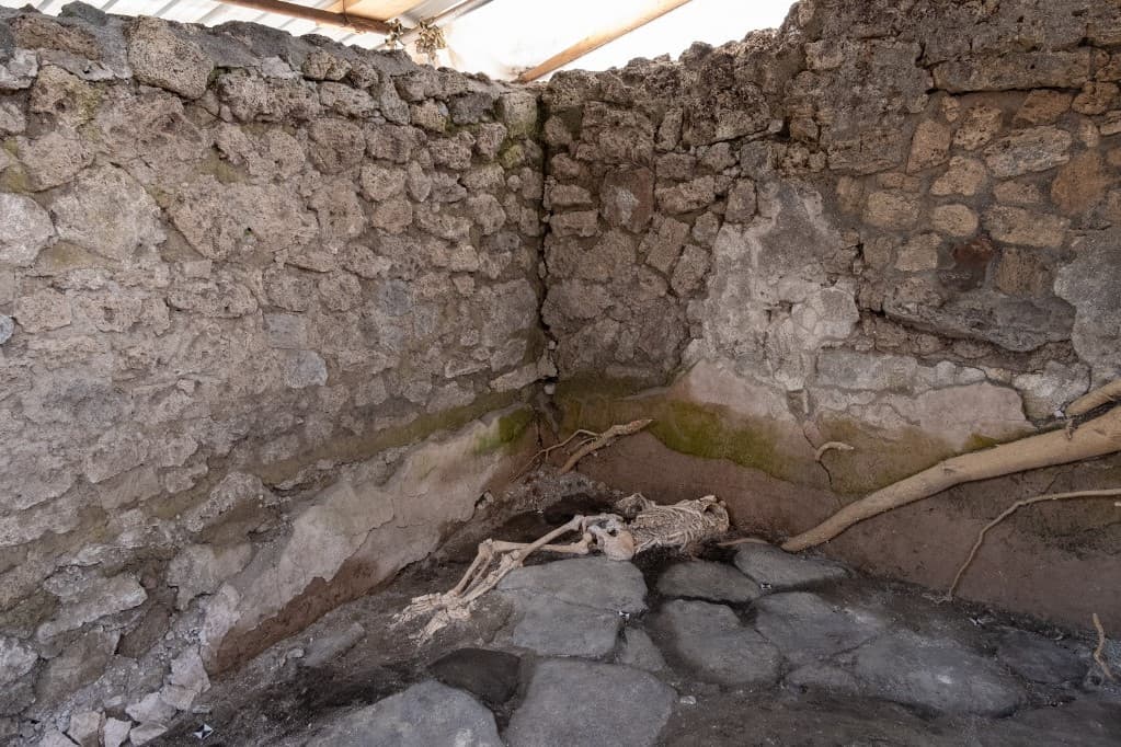 Két új pompeji áldozatot találtak
