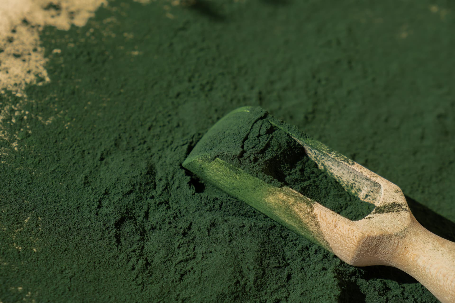 Mi az a spirulina?