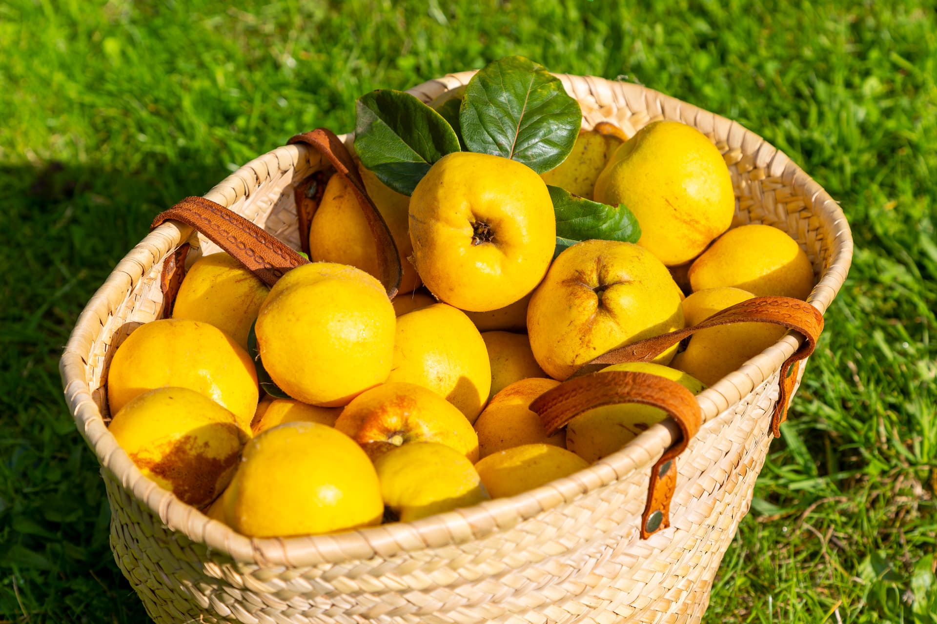 Remek forrása a rostoknak, vitaminoknak és antioxidánsoknak