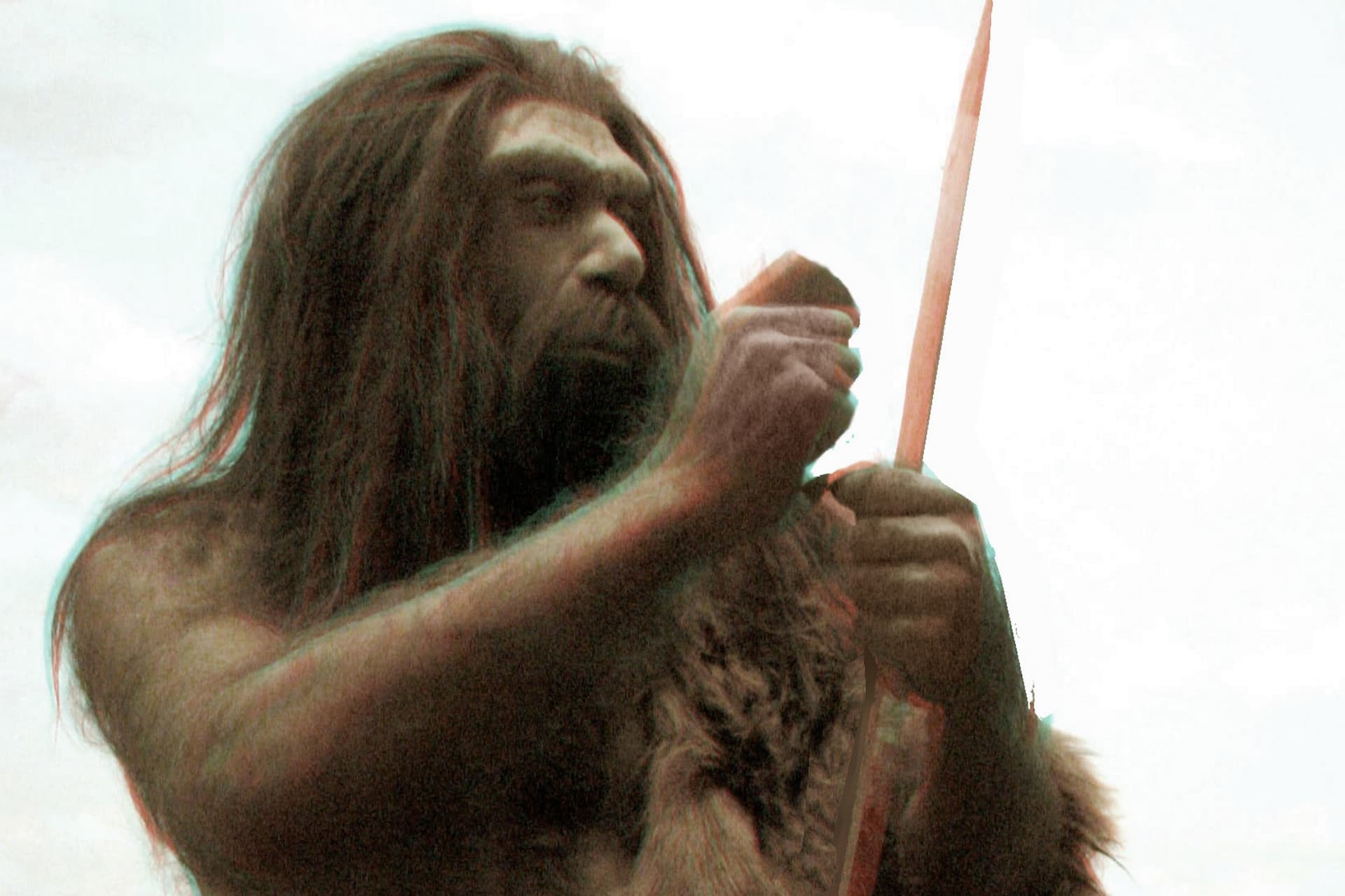 A neandervölgyiek egy elszigetelt vonalát fedezték fel