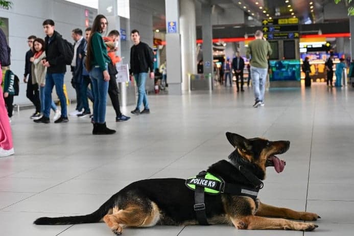 Iskolában árulta a drogot a kiskorú