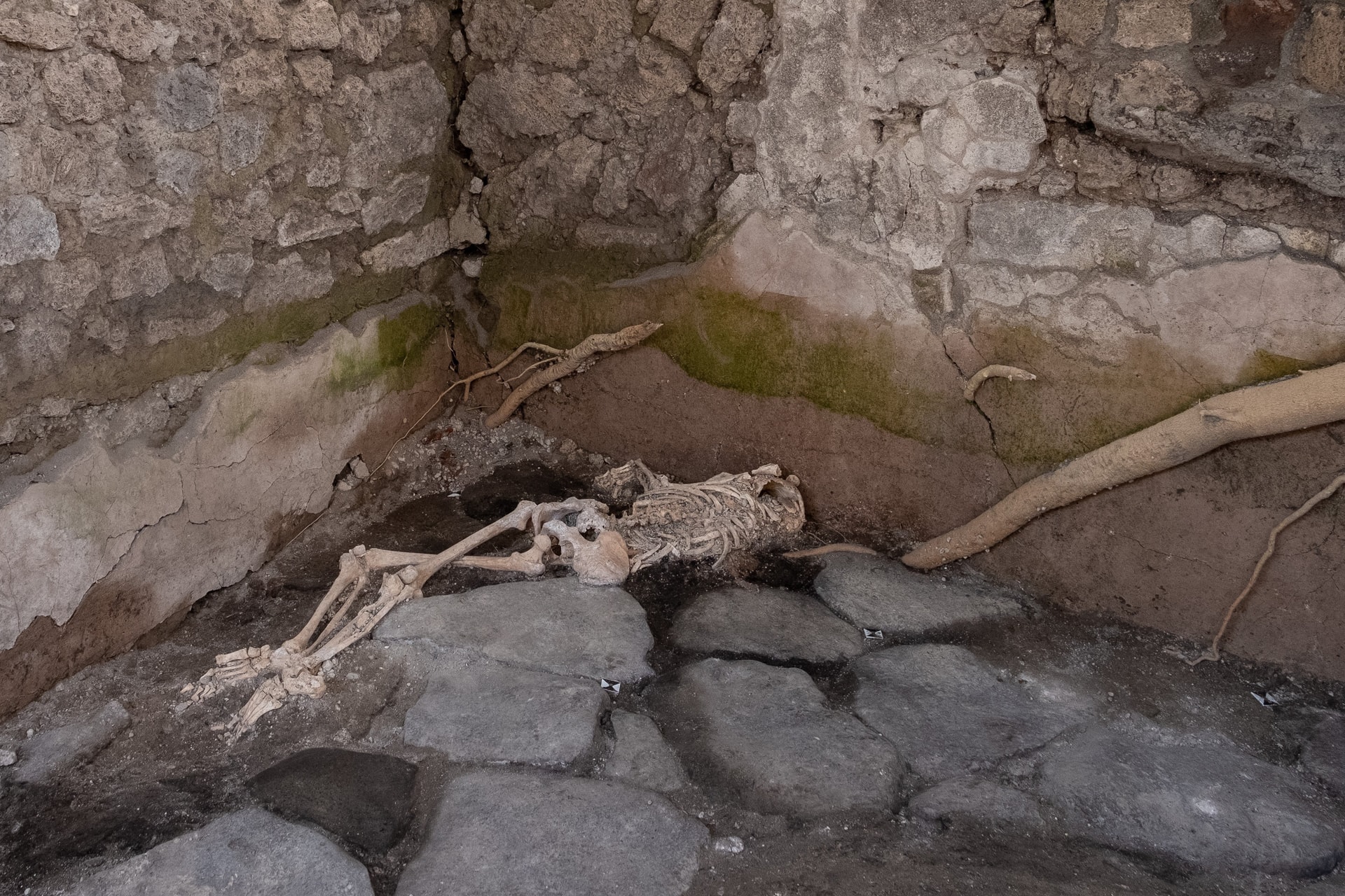 Mi történt valójában a „történelem legszerencsétlenebb emberével” Pompejiben?