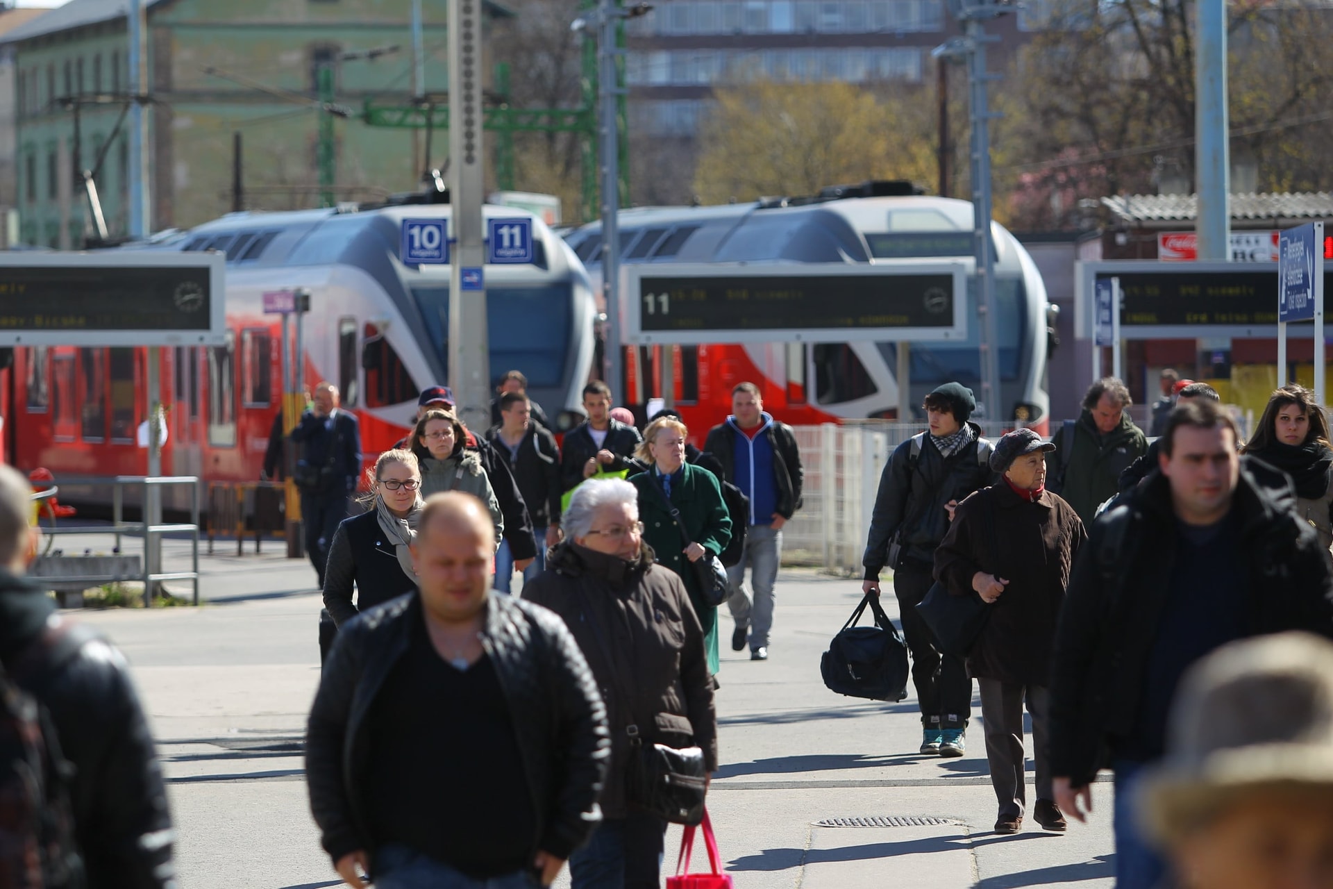 Madár okozott zárlatot a Déli pályaudvaron