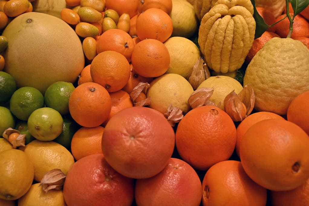 Hány citrusfélét kellene enni naponta, hogy erősítsük az immunrendszerünket?