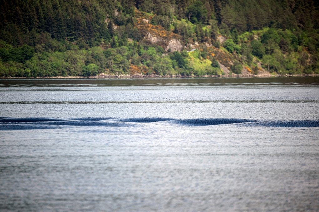 A természettudós elárulta a Loch Ness-i szörny titkát