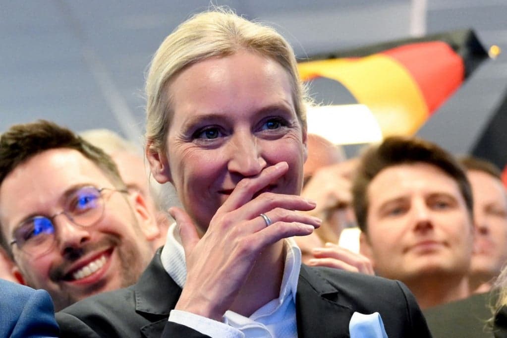 Az AfD a legnépszerűbb párt a németek körében