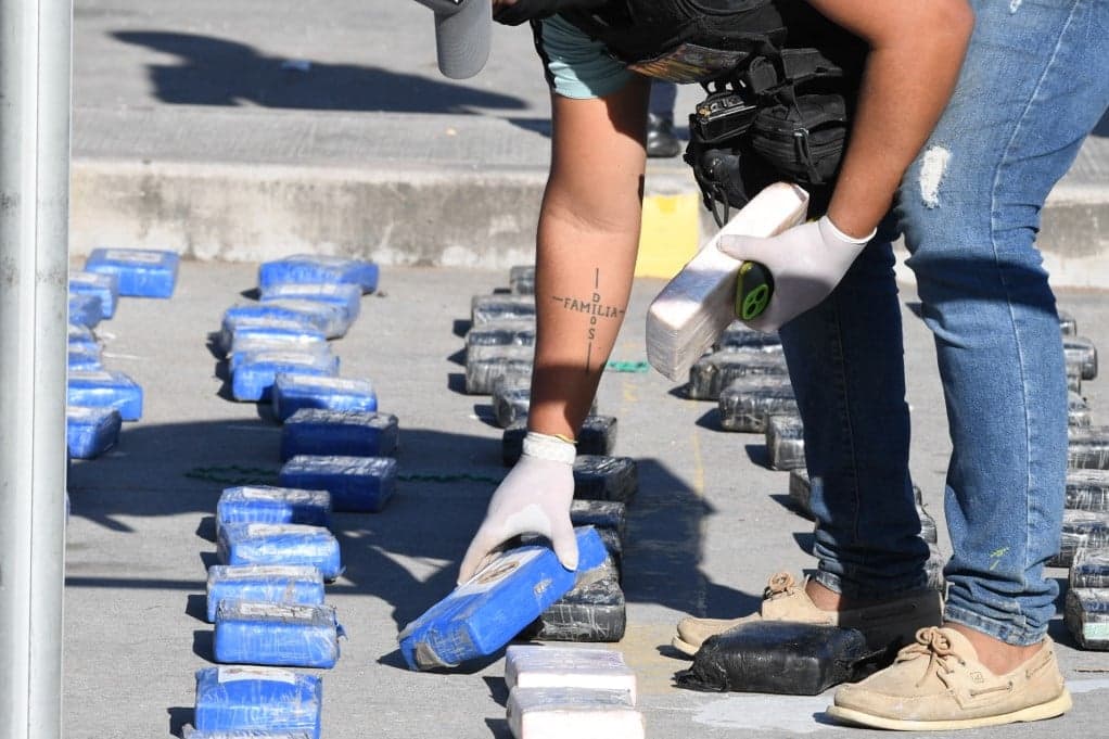 Drogellenes razzia Pest vármegyében