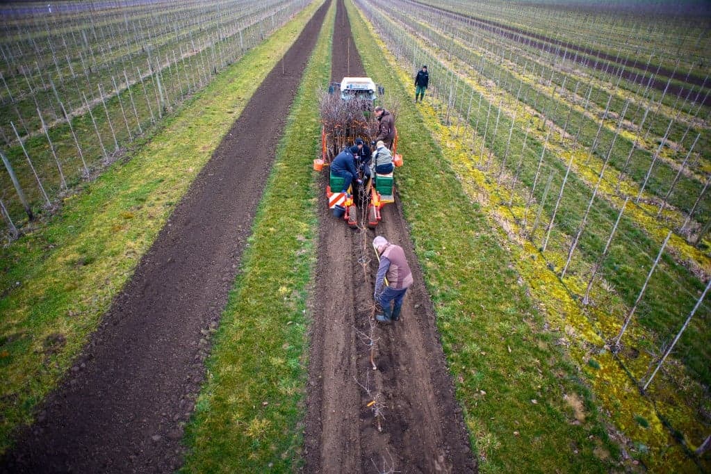 Önálló uniós agrárköltségvetésre van szükség