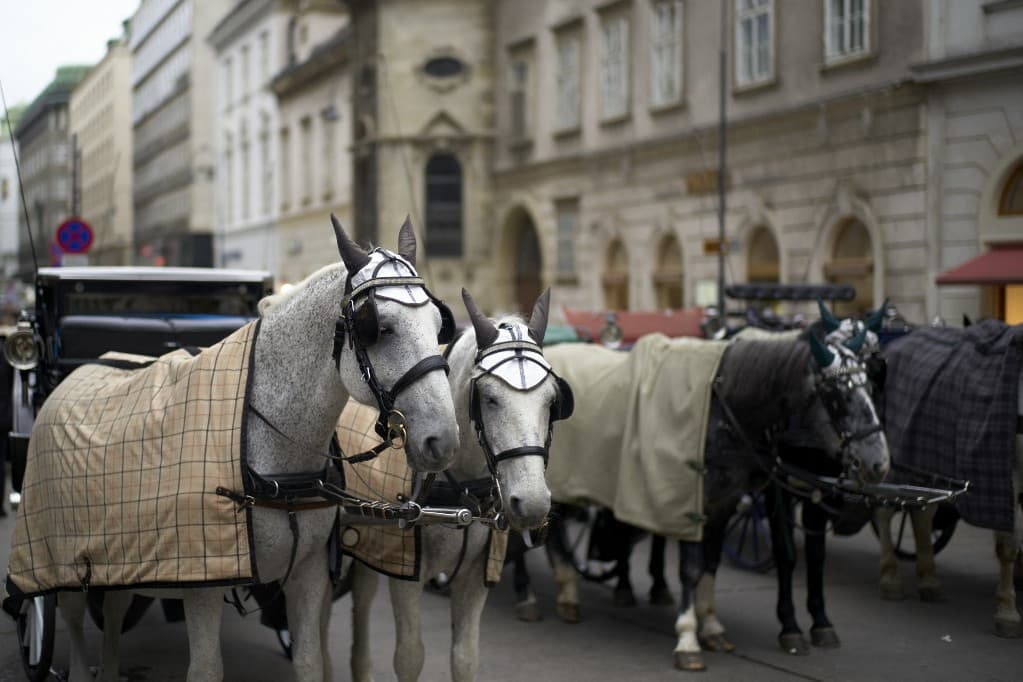 Nagyon benézte a bécsi közlekedést a részeg magyar