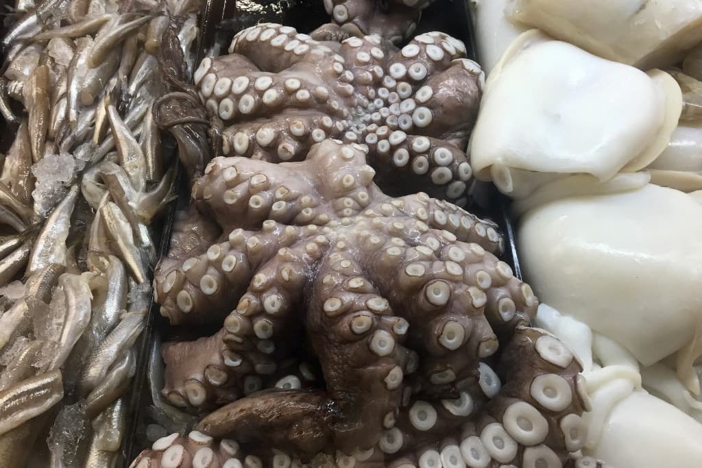 Halak és tenger gyümölcsei, melyeket csak óvatosan szabad fogyasztani