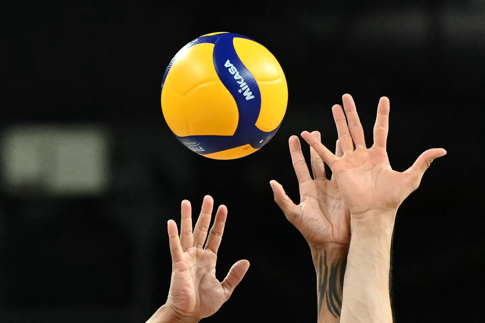 Jó esélyekkel indul a női röplabda-válogatott