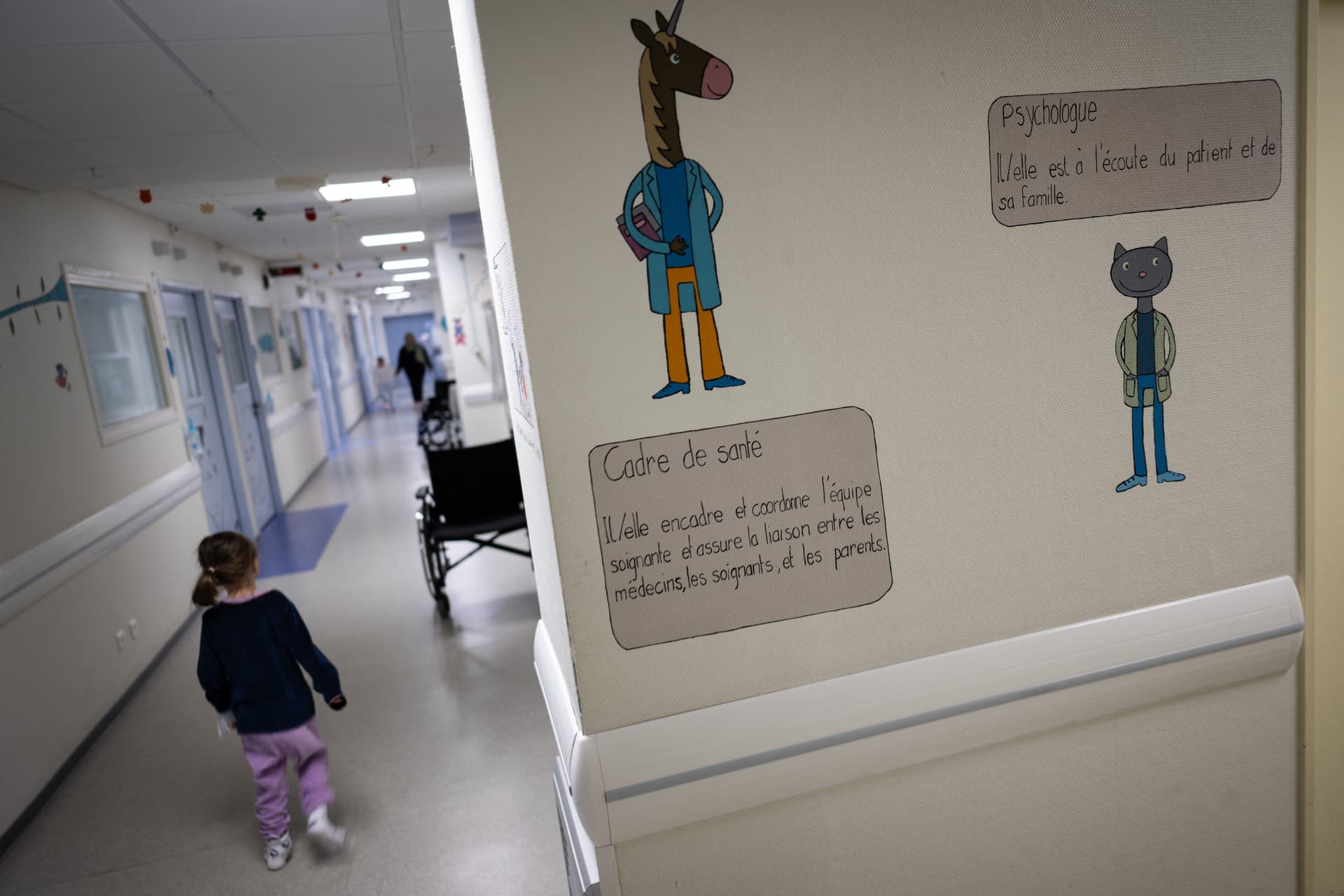 Az orvosi kamara szerint problémás a salátatörvény