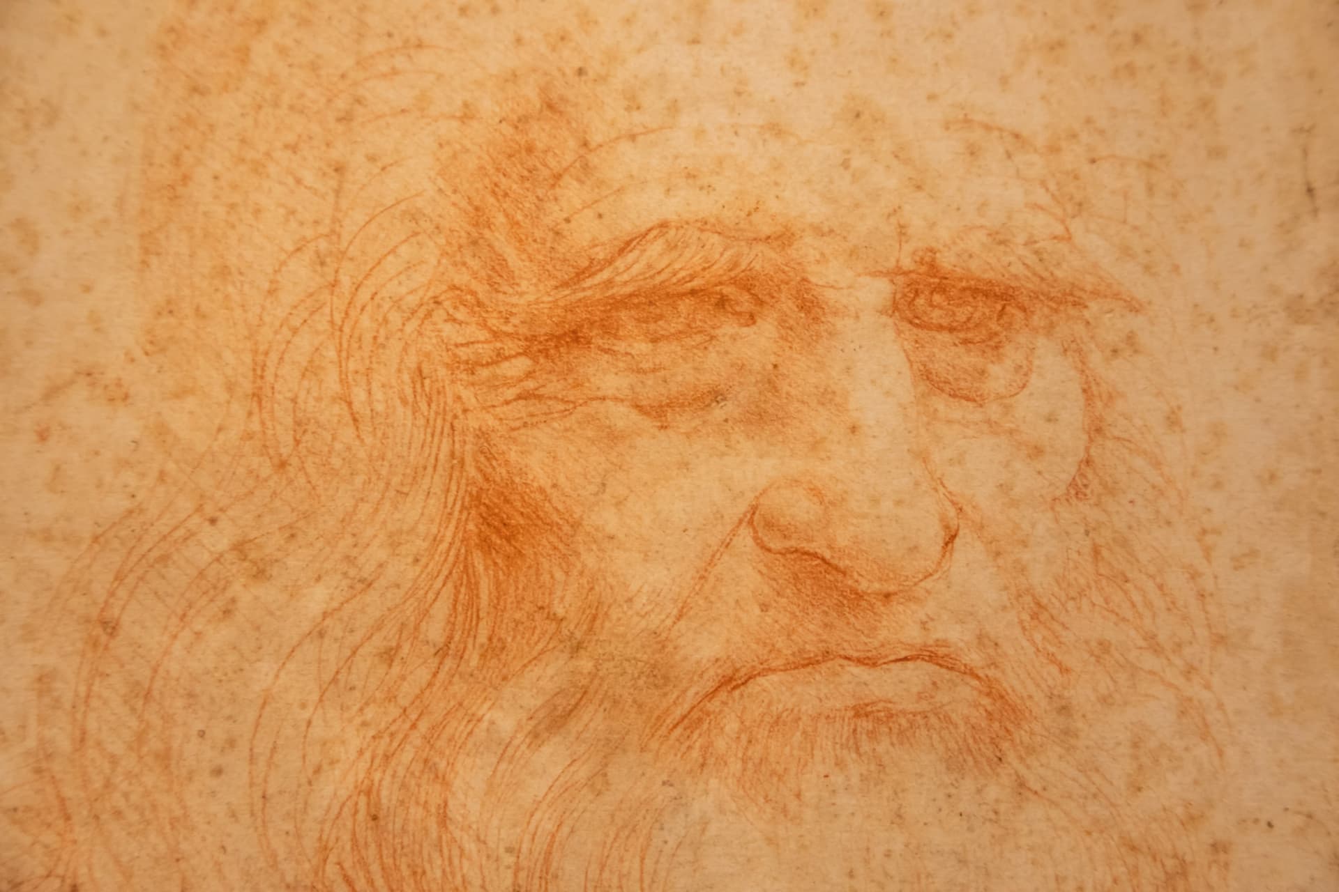 Leonardo da Vinci hat élő rokonát azonosították DNS-vizsgálattal